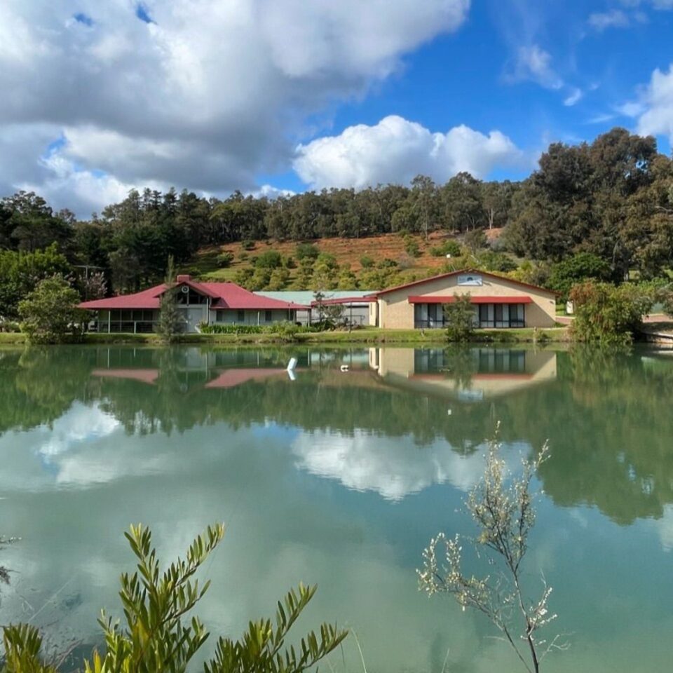 RW Home Mobile Banner 2024a